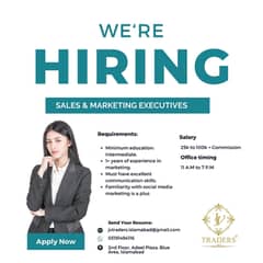 Sales & Marketing executives