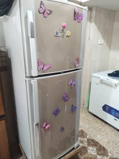 Dawlance Fridge, v. Good Condition