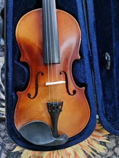 violin