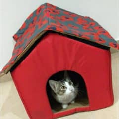 cat house