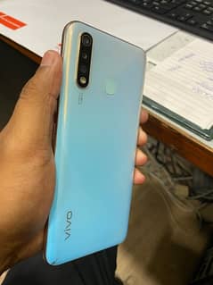 VIVO