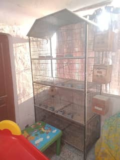 love birds cage for sale