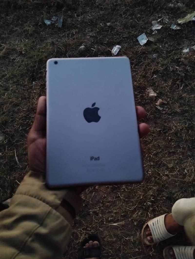 mini ipad 0