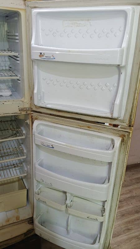 Pell Refrigerator 2