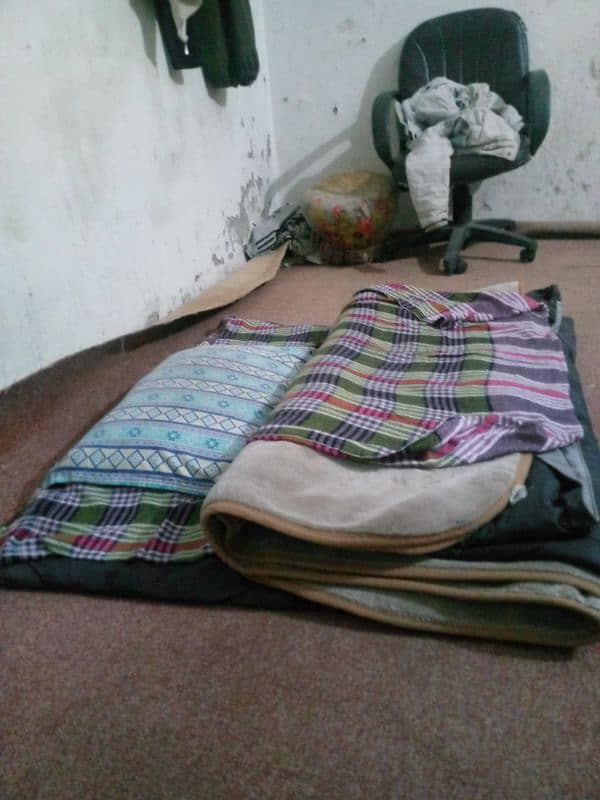 need a single room for rent urgent 0