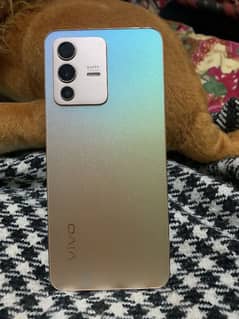 vivo v23 lush condition 12/256