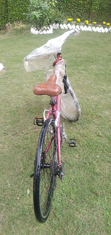 American Bicycle with gears 0