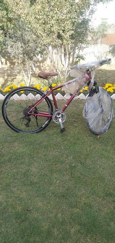 American Bicycle with gears 4