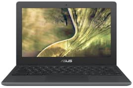 Asus C204E Chromebook