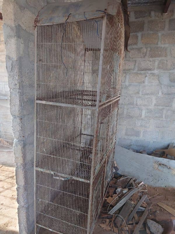 Bird Cage for Sale in reasonable price 2