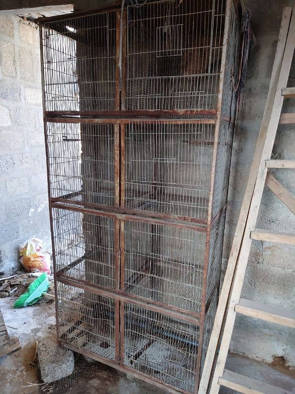 Bird Cage for Sale in reasonable price 4