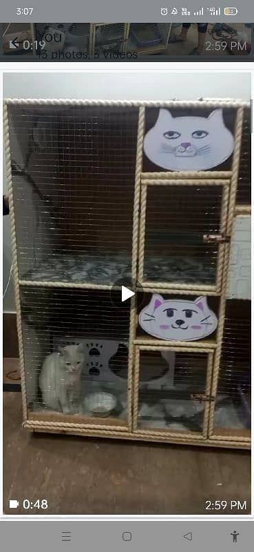 NEW CAT HOUSE FOR SALE03200486988 11