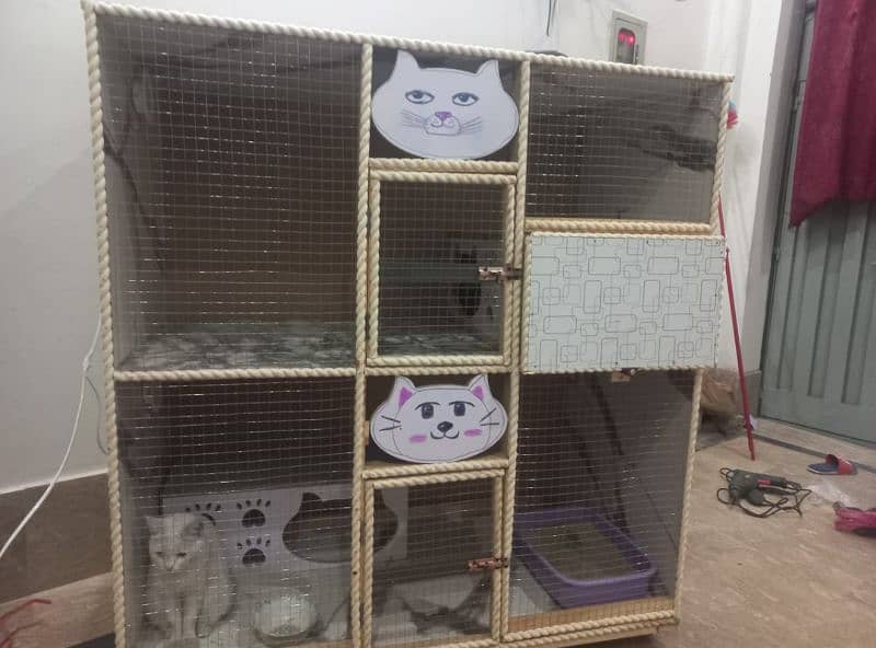 NEW CAT HOUSE FOR SALE03200486988 4