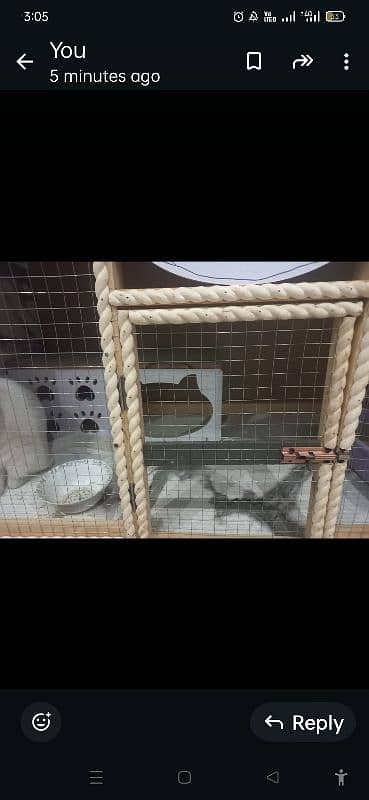 NEW CAT HOUSE FOR SALE03200486988 13