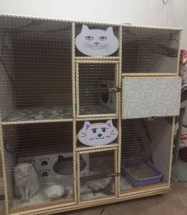 NEW CAT HOUSE FOR SALE03200486988 14