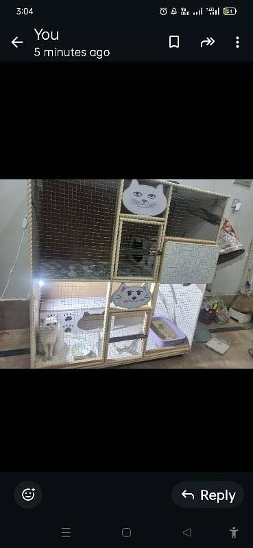 NEW CAT HOUSE FOR SALE03200486988 15