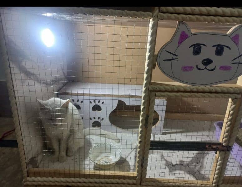 NEW CAT HOUSE FOR SALE03200486988 19