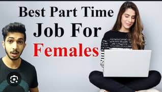 Part time 1 female job partner required,