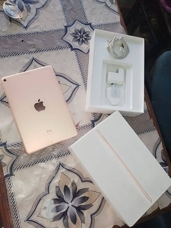 iPad Mini 5 0