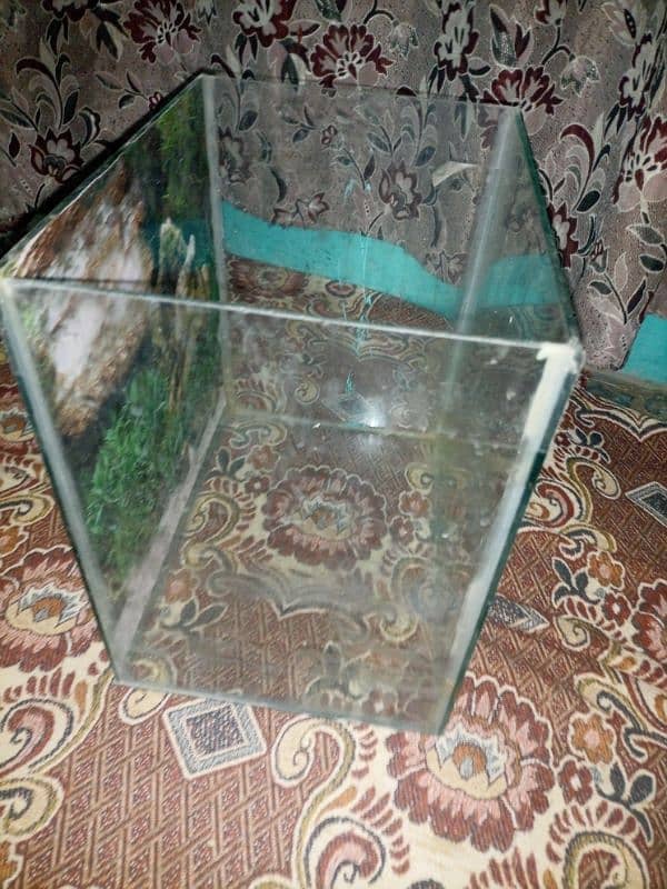 1 ft aquirium glass 1