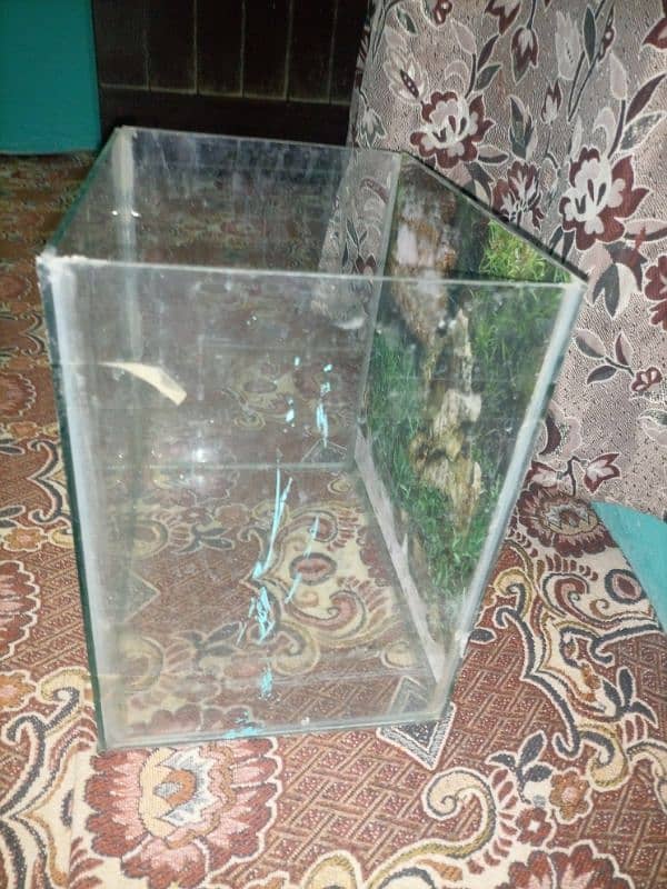 1 ft aquirium glass 2