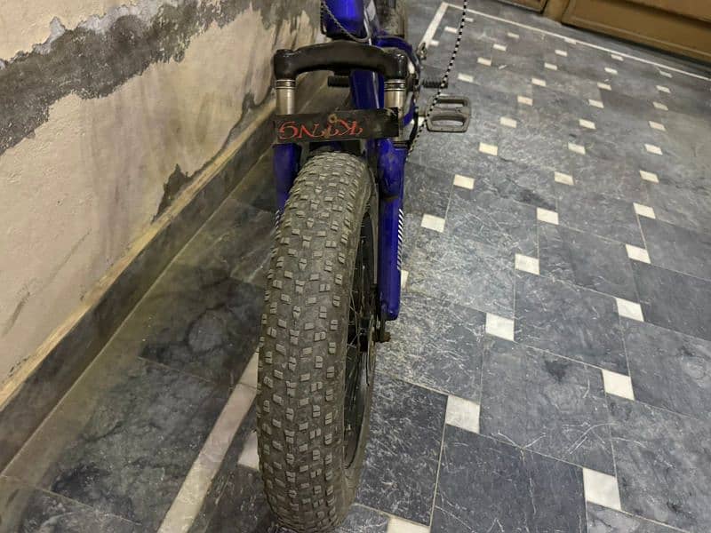 Fat bike 4