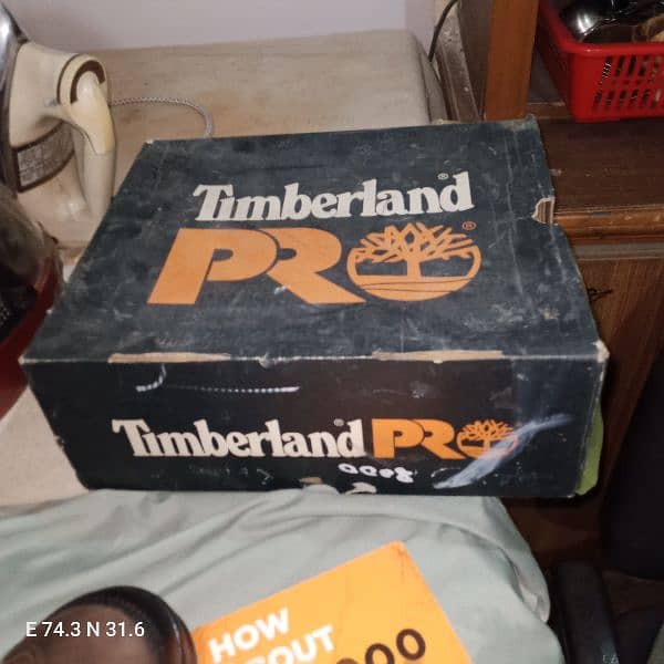 timberland shoes 10