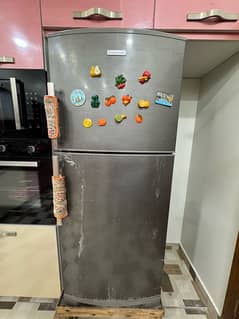 Electrolux Refrigerator 2 door full size