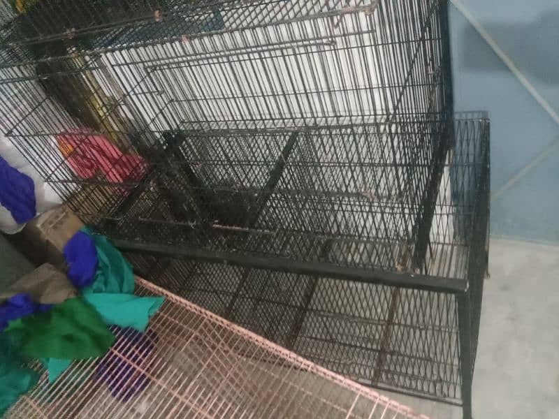 cage for sale different price 1