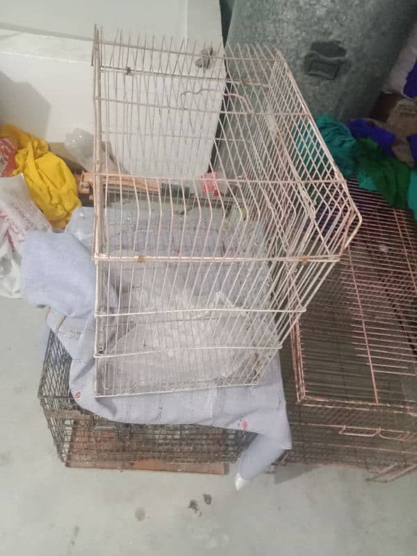 cage for sale different price 5