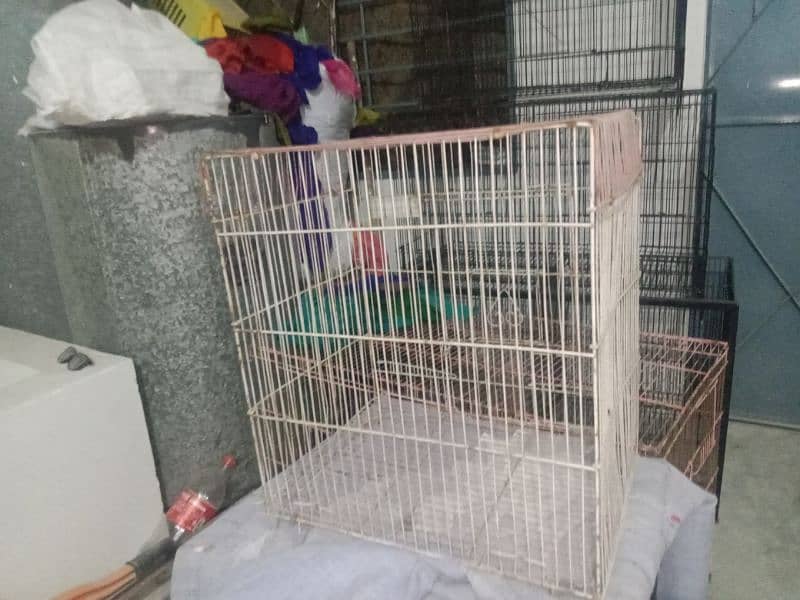 cage for sale different price 6