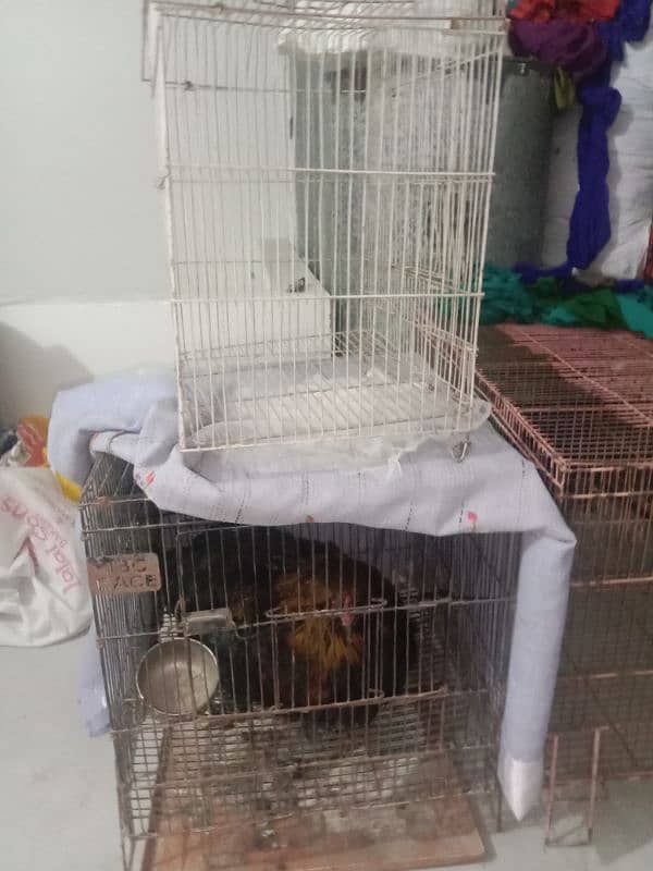 cage for sale different price 8