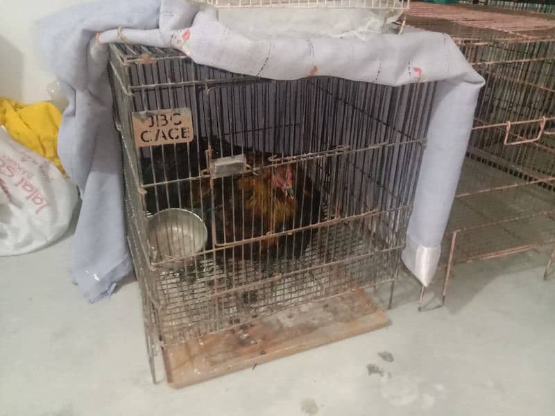 cage for sale different price 9