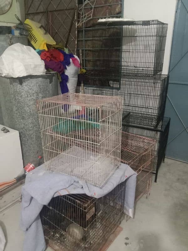 cage for sale different price 11