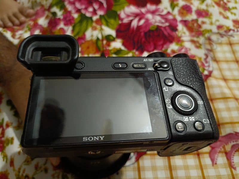 Sony 6500 with sigma 16mm 1.4 lense 1