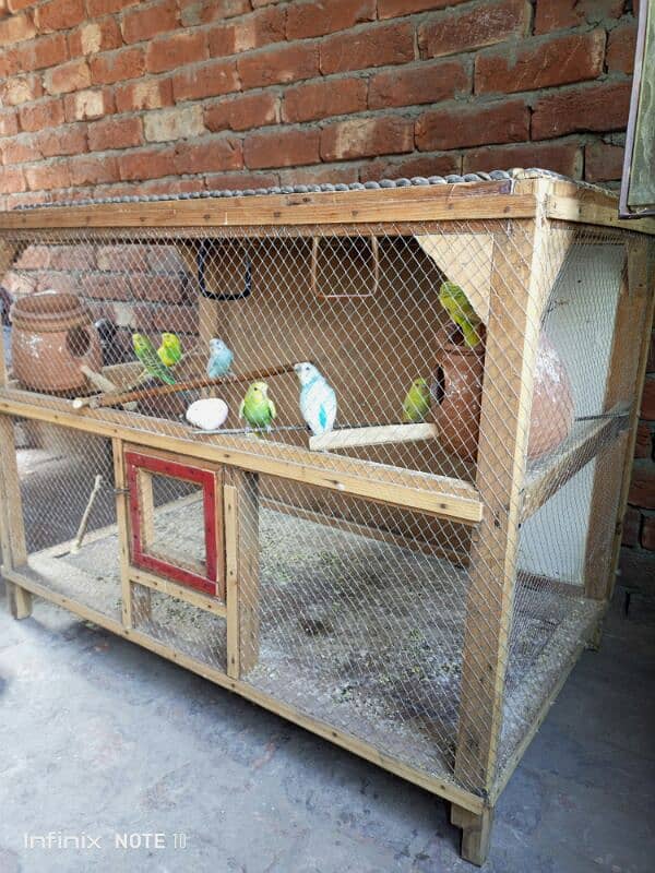 Wooden Cage Pinjra For Parrots Hens chicken khooda no iron barfi Jali 2