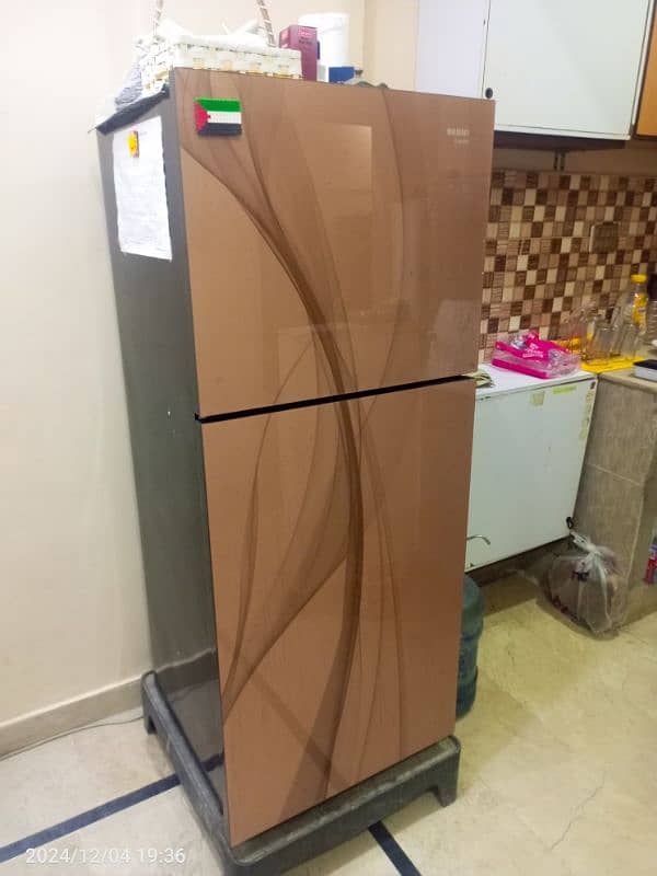 Orient 2 Door Refrigerator 9 cubic ft 3