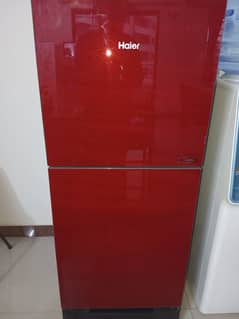 Haier E-Star HRF-216EPR Refrigerator