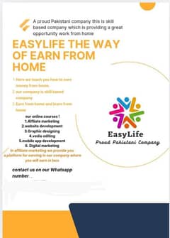 Earn from home