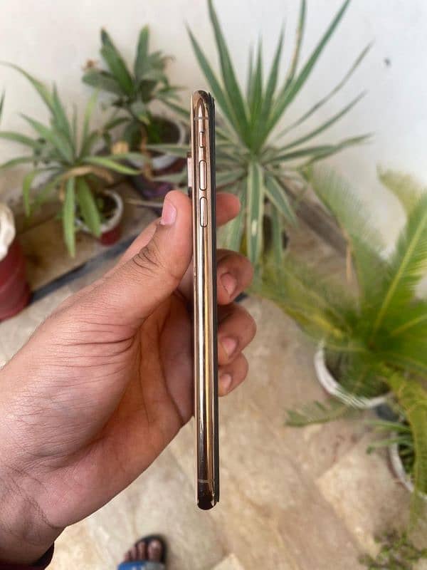 Apple Iphone Xs Max 2