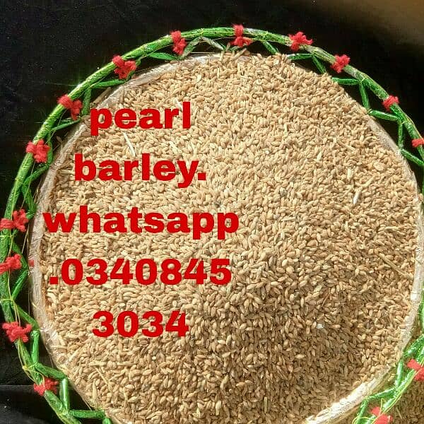 sabut jo/barley saaf 0