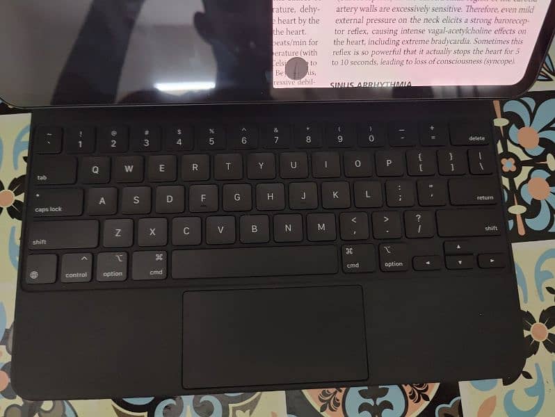 Apple Magic Keyboard ipad pro 12.9inch 0