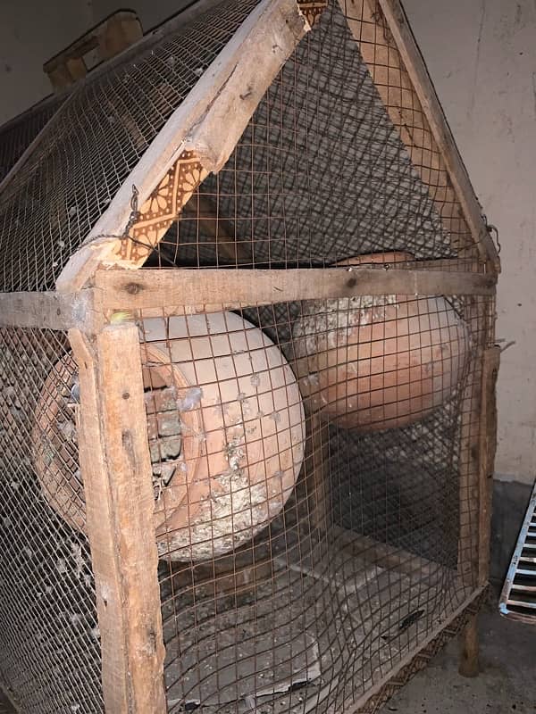 birds cage for sale 1