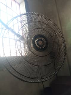 Fan