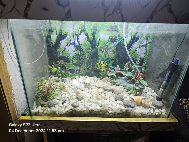 Fish Aquariam 2×2 0