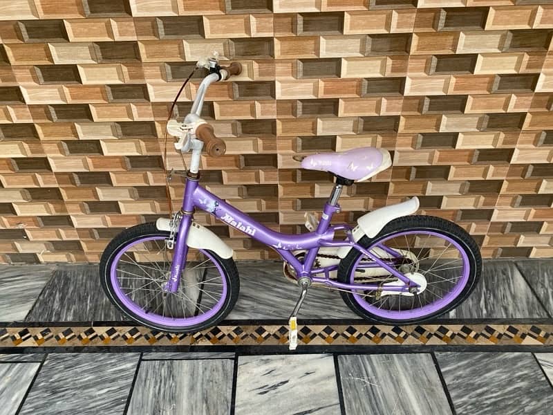 girl bicycle imported 1