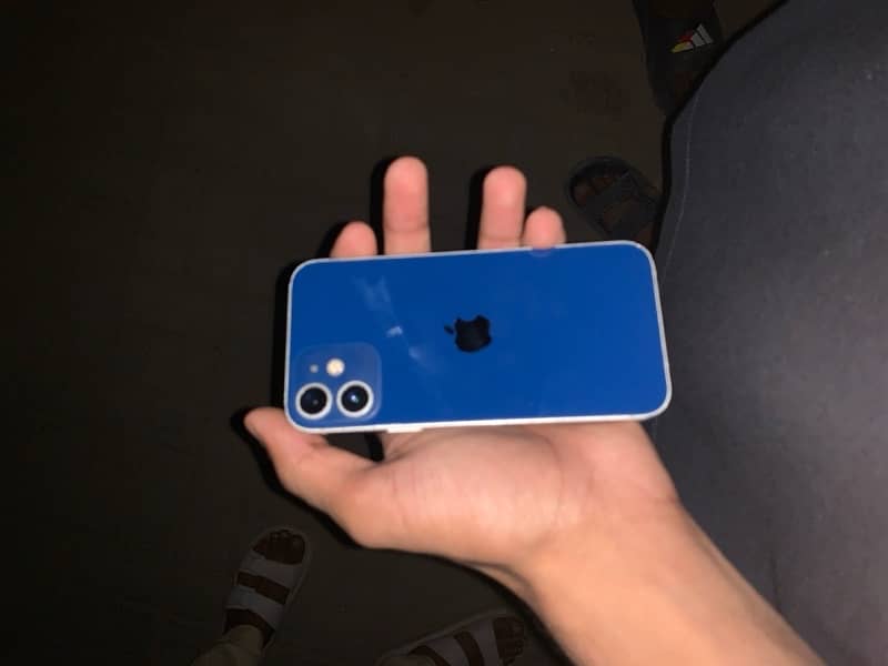 iPhone 12 mini 0