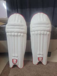 Cricket pads