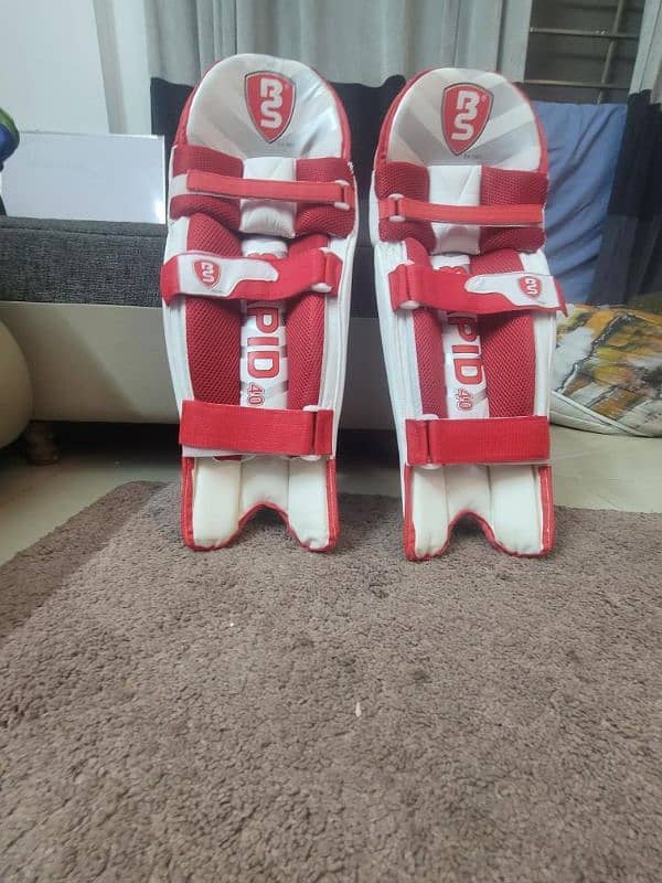 Cricket pads 1