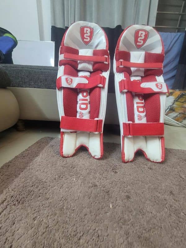 Cricket pads 2